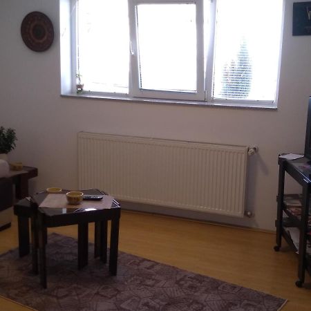 Apartment Vojinovic Arandjelovac Eksteriør bilde